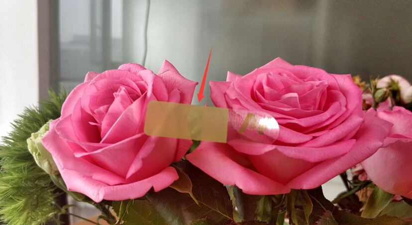 透明不干胶标签